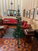 Dune Barr House - Verandah In The Forest主图