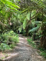 Hardy Gully Nature Walk-Kallista必去景点