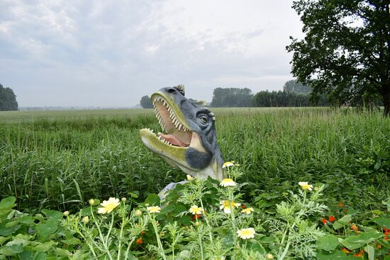 Hotel de Elderschans主图