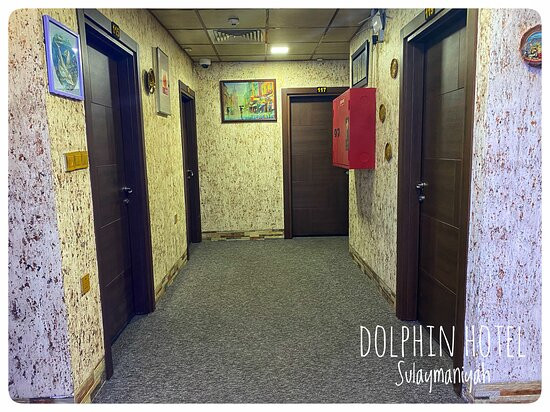 Dolphin Hotel & Hostel Sulaymaniyah主图