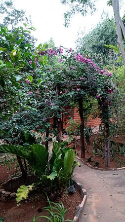 Pousada Luar do Sertão主图