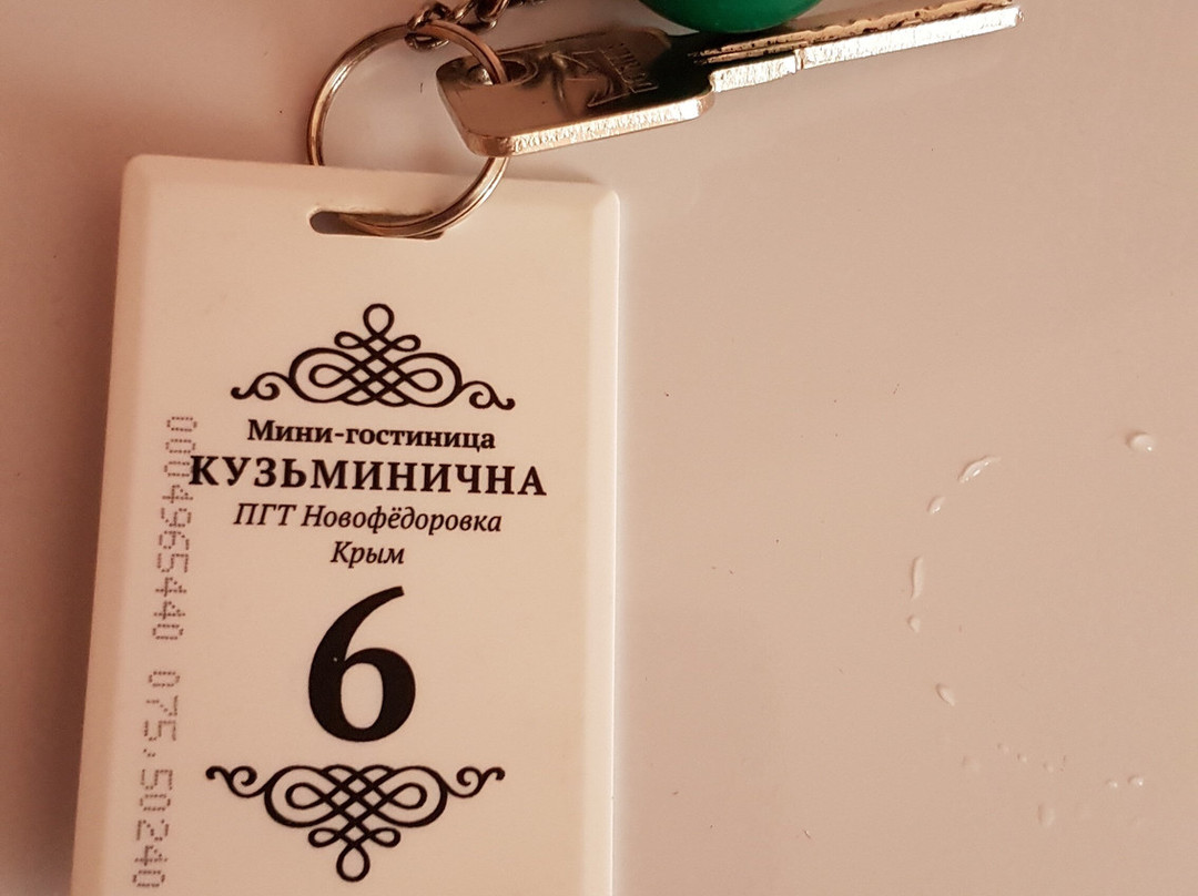 Mini-hotel Kuzyminichna