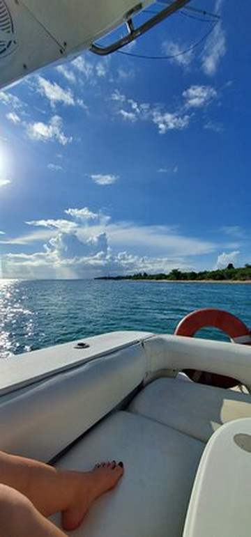 Nauti Mermaid Charters-维切克岛必去景点