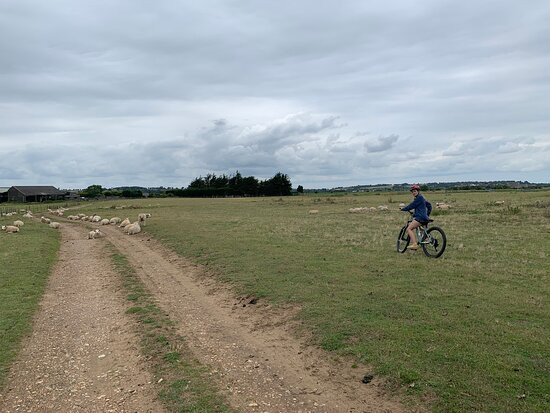 Rye Harbour Cycles景点图片