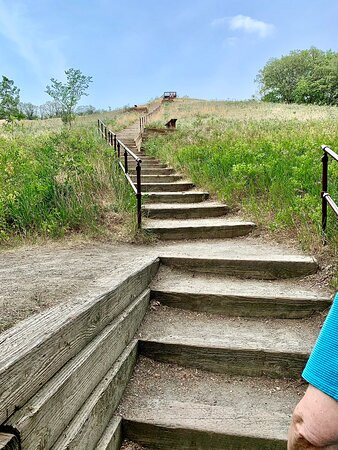 Sullys Hill National Game Preserve景点图片