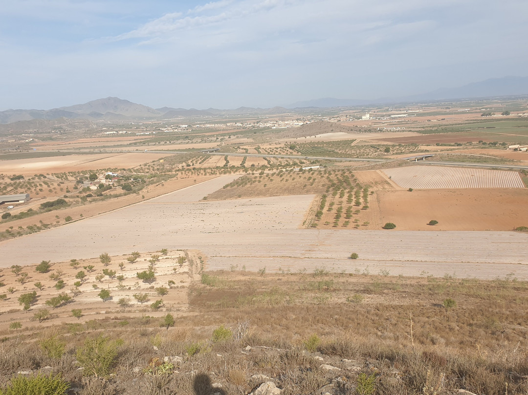 Cabezo Negro de Tallante-Las Palas必去景点