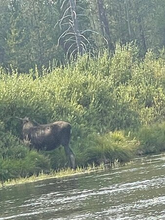 Mack`s Inn Float Trip and Rentals-艾兰帕克必去景点