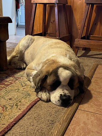 Bear Creek Guest Ranch主图