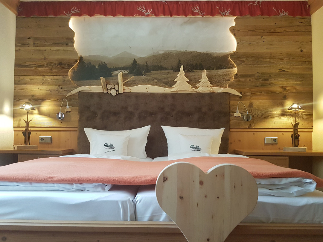 Hotel Und Restaurant Köhlerhütte主图