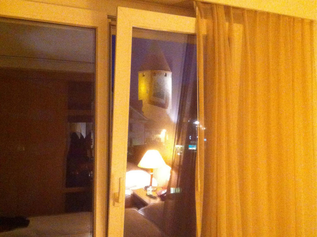 Hotel des Alpes主图