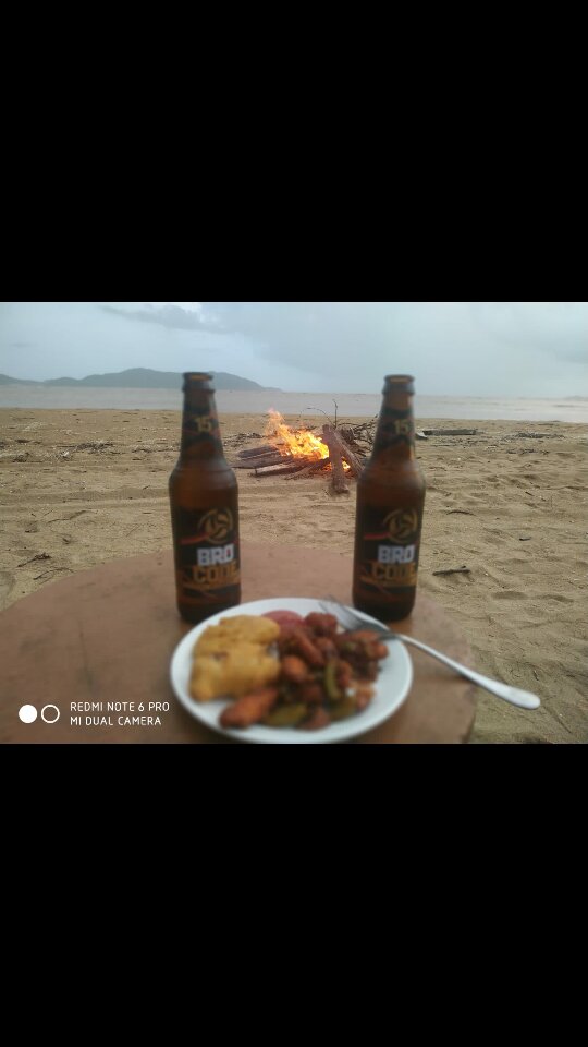 Jungle Lodges Devbagh Beach Resort-官方
