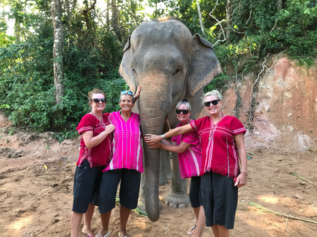 Elephant Family Phuket景点图片