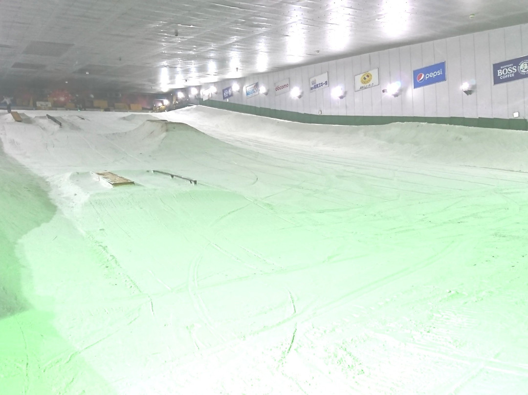 Snova Hashima-羽岛市必去景点