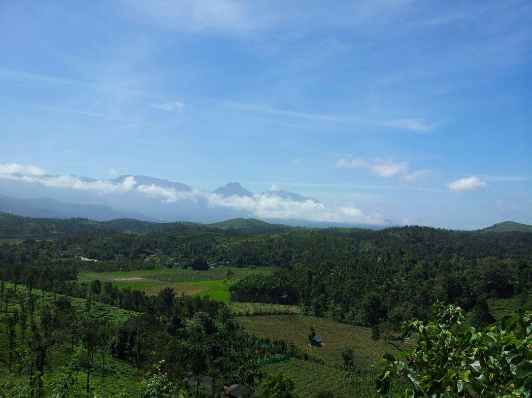 The Nilgiris District旅游景点-Balmaadi Estate
