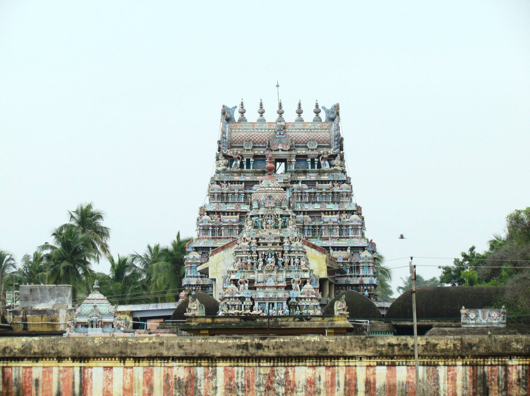 Vaduvur旅游攻略图片