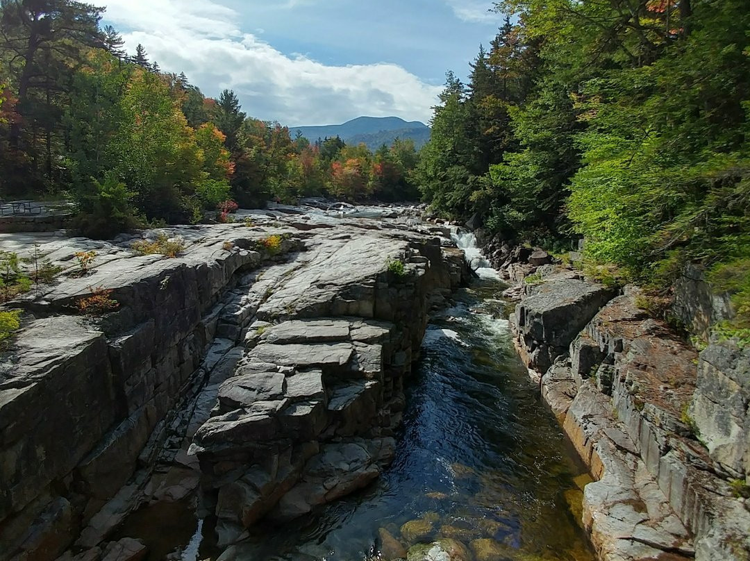 Albany旅游攻略图片