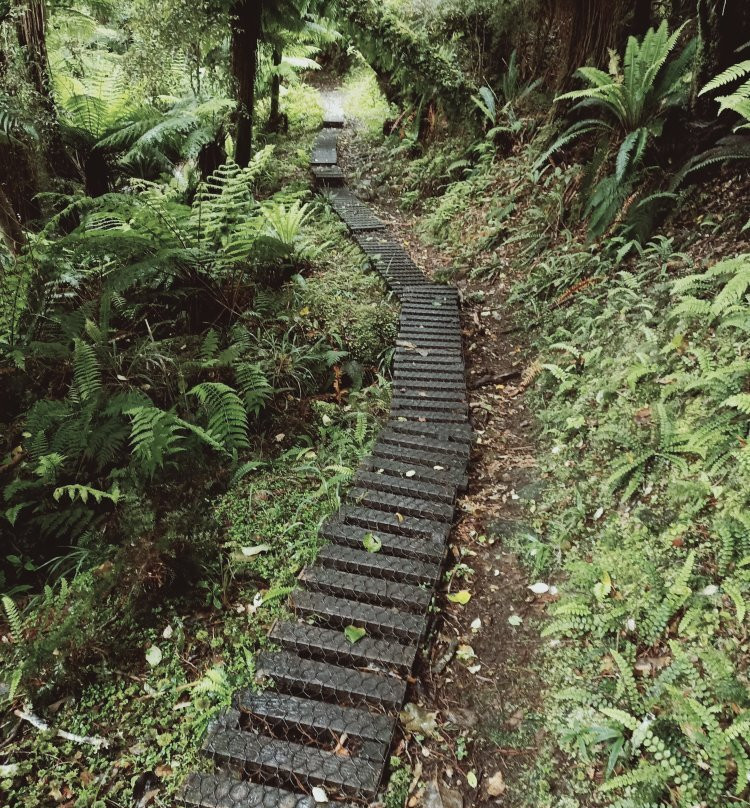 Fern Gully Trail景点图片