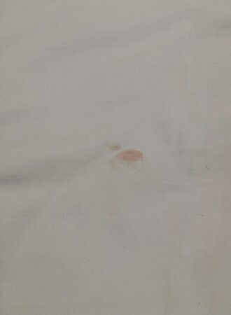 Park-hotel Pushkin主图