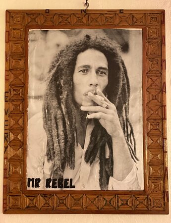 True Life Tours Jamaica-蒙特戈贝必去景点