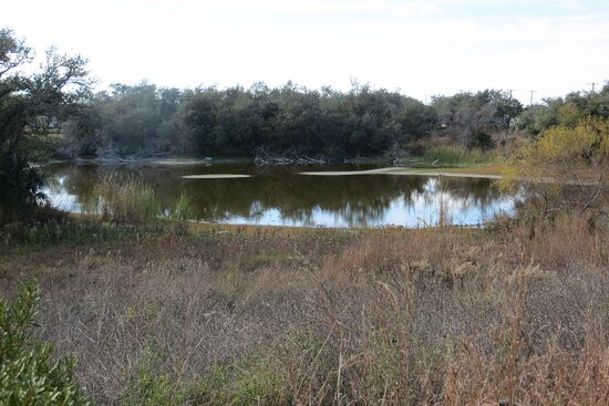 Linda S Castro Nature Sanctuary-Fulton必去景点