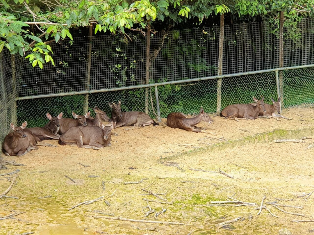 Taman Tumbina-宾图卢必去景点