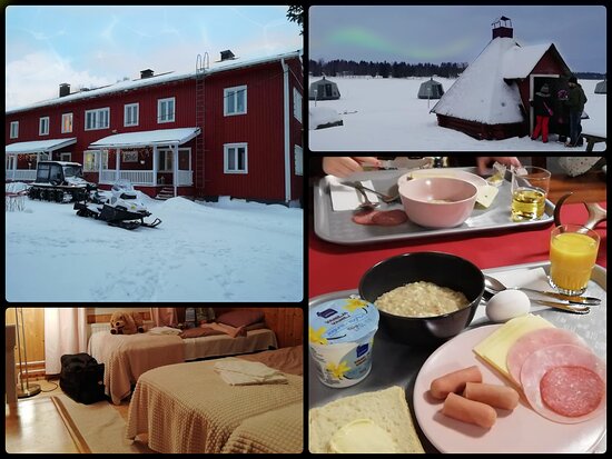 Arctic Guesthouse & Igloos-餐饮
