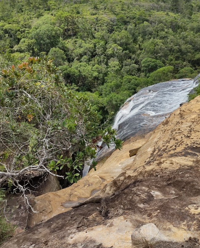 Parque Estadual do Cerrado景点图片