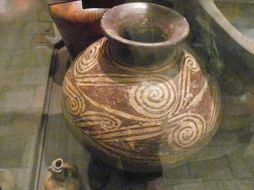 MUSA Museo Arqueologico-卡利必去景点