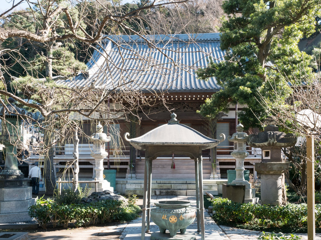 Joryu-ji Temple景点图片