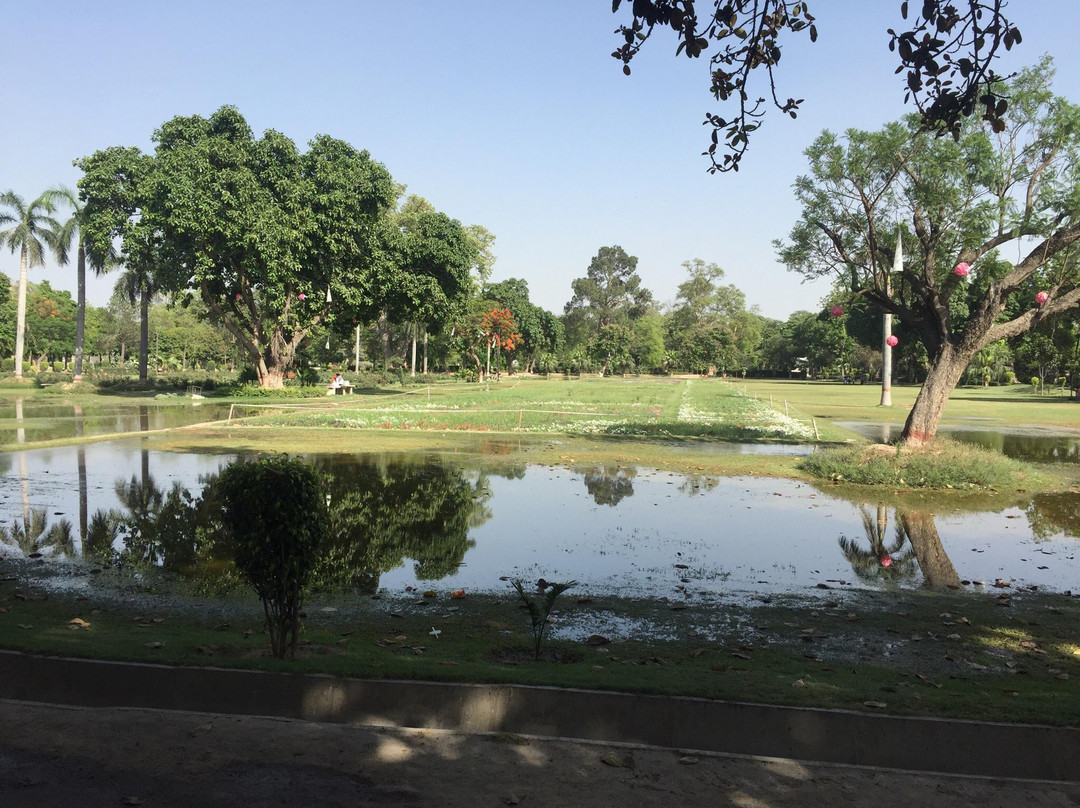 null-Faisalabad