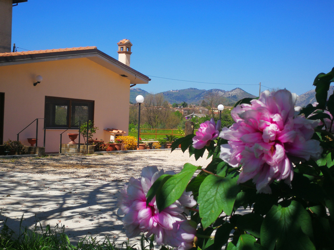 Ristorante Lo Speciano