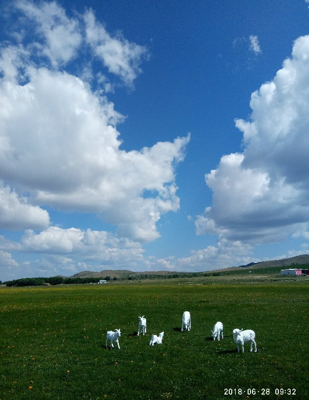 沽源草原-沽源县必去景点