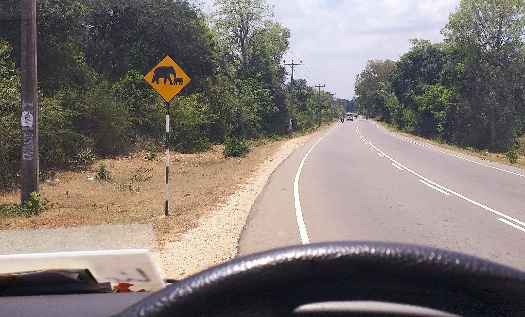 New Vintop Hotel主图