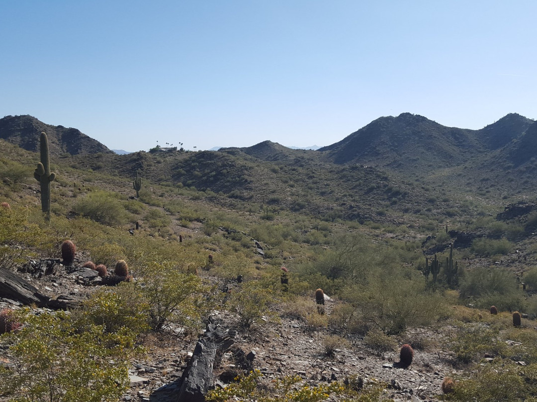 Phoenix Mountains Preserve景点图片