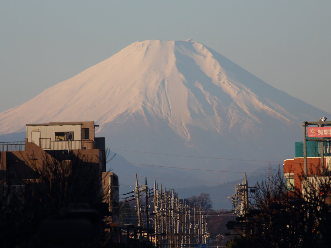 东久留米市旅游景点-Fujimi Terrace