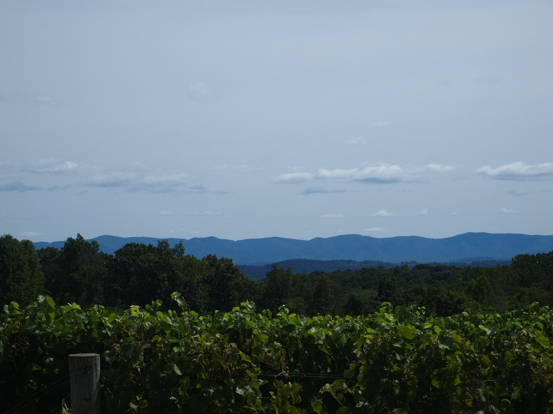Virginia Mountain Vineyards景点图片