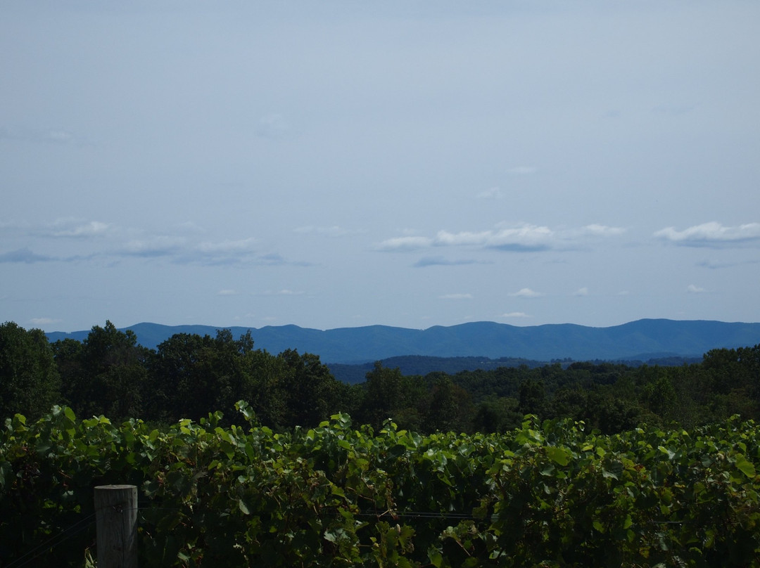 New Castle旅游景点-Virginia Mountain Vineyards
