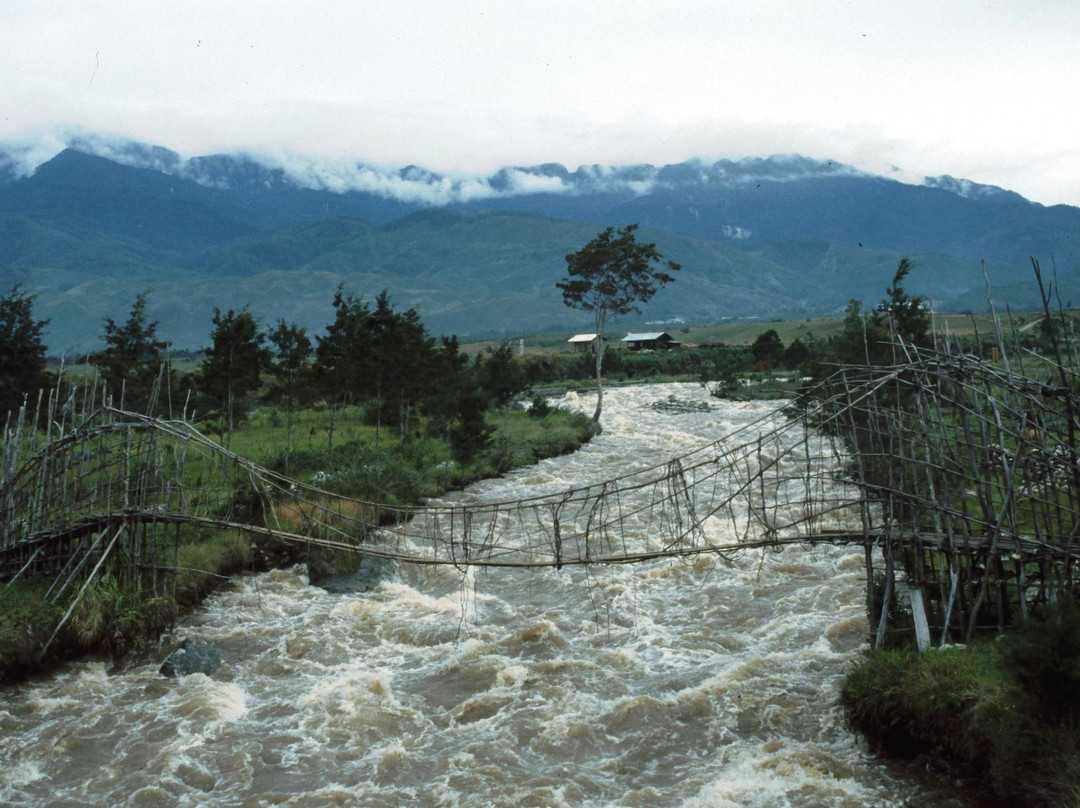 Sinatma Suspension Bridge景点图片