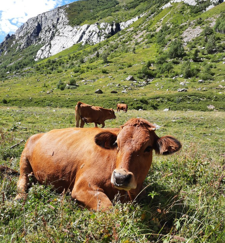 Vallée des Glaciers-布尔格圣莫里斯必去景点