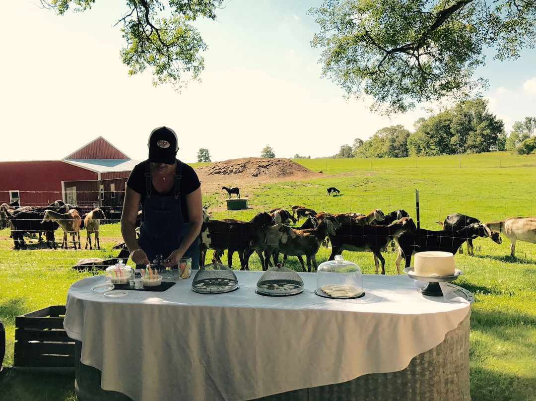 Door County Creamery-锡斯特贝必去景点