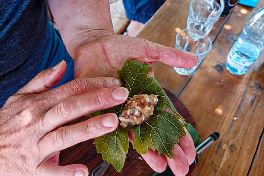 Kosblogger featured by Theokritos Travel