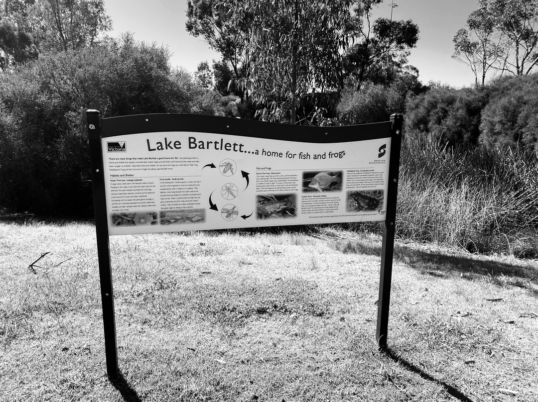 Lake Bartlett