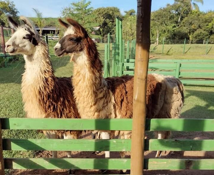Fazendinha Ecológica Três Irmãos