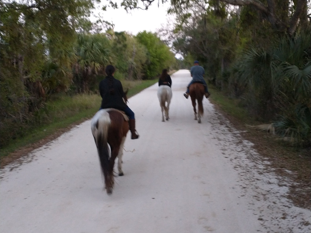 Angel's Appy Acres-维罗海滩必去景点