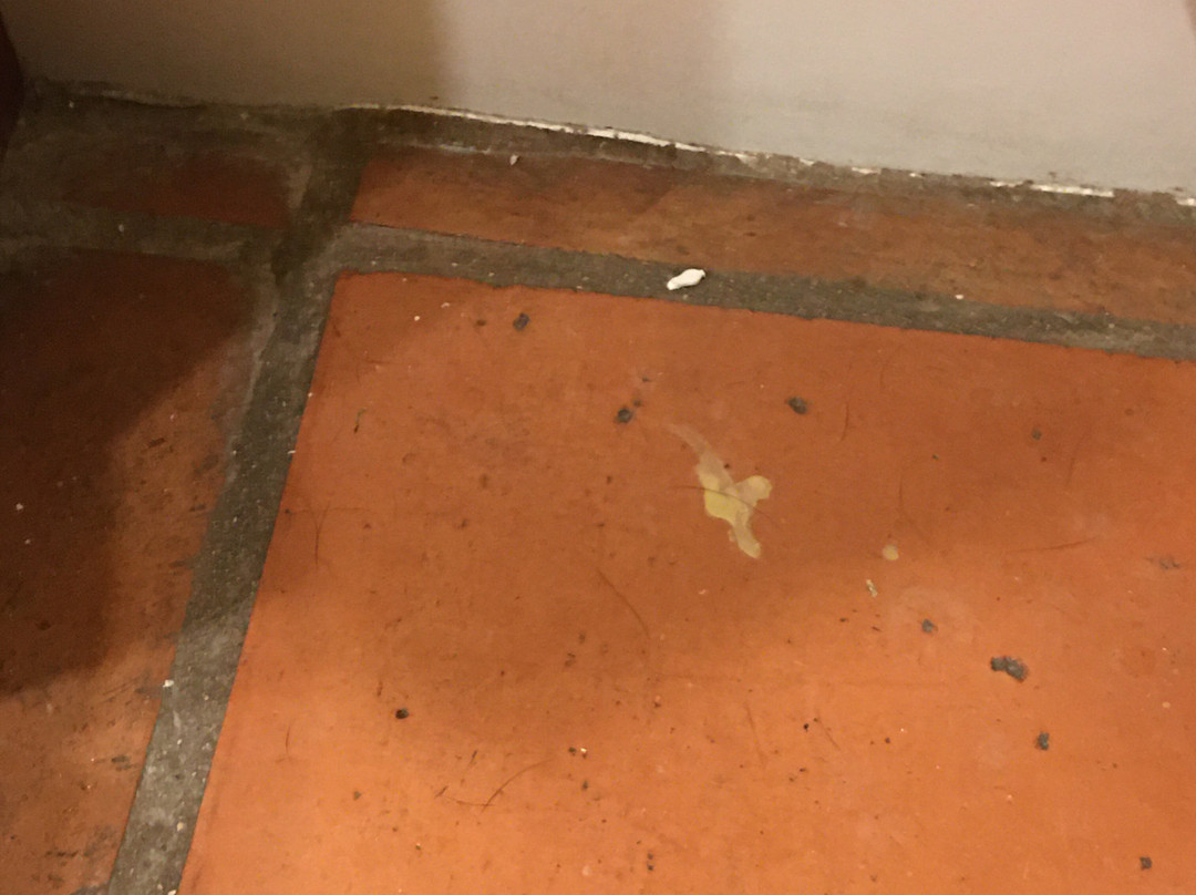 Y.O. Ranch Hotel主图