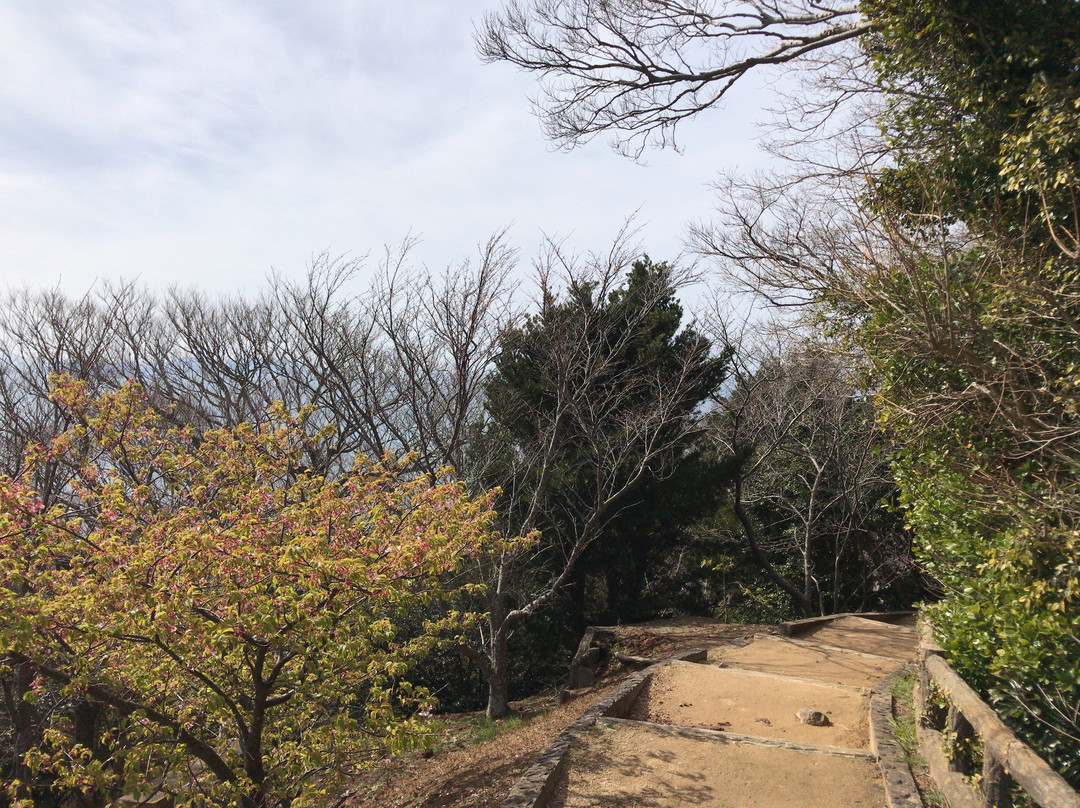 Mt. Kasayama景点图片
