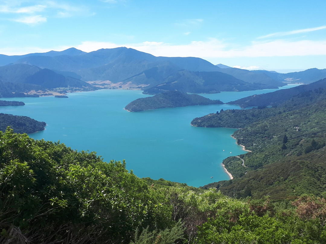 Onahau Point Lookout景点图片