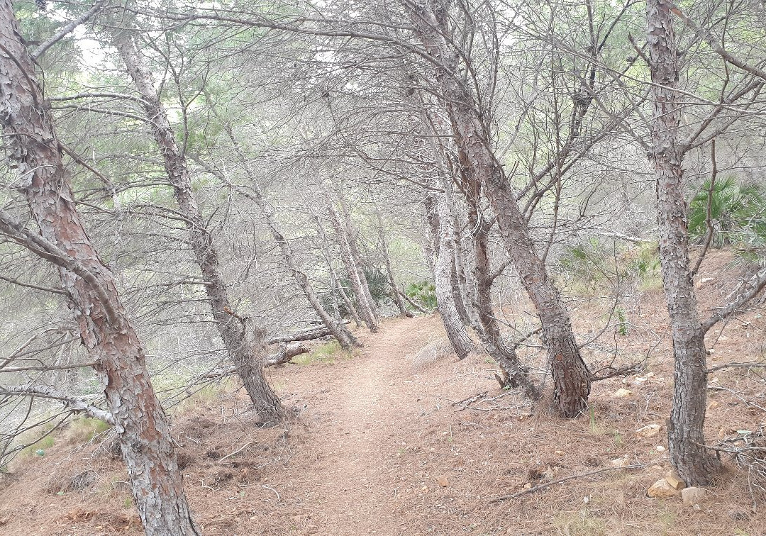 Sierra De Atamaría景点图片
