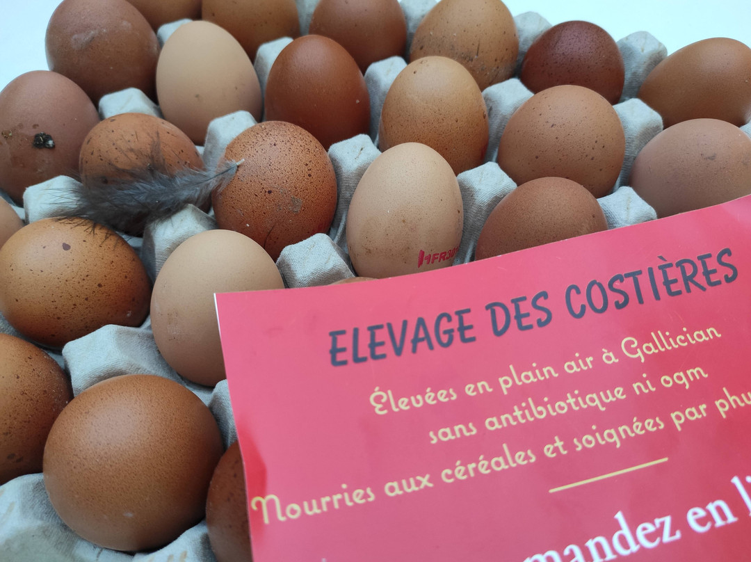 La Maison du Soleil主图