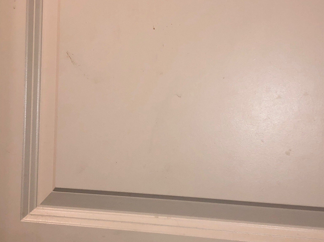 Days Inn & Suites by Wyndham Florence/Jackson Area主图